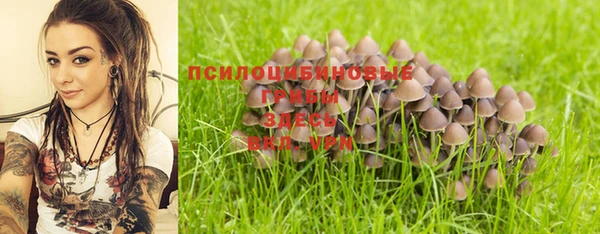 первитин Инта