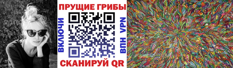 Купить где  Моздок  Галлюциногенные грибы Psilocybine cubensis 